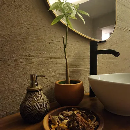 酒店 Ozgur Bey (adults Only) 阿拉尼亚